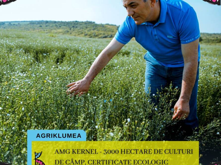 TEMPLATE KLUMEA (2)